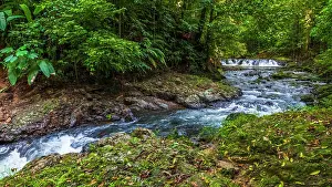 Flowing: Forest stream in Corcovado National Park, Puntarenas