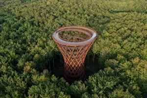 Tower: Forest tower