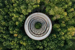 Tower: Forest tower