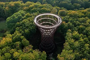 Tower: Forest tower