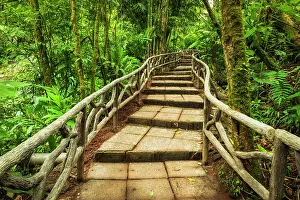 Lush: Forest trail at La Paz Waterfall Gardens, Alajuela Province
