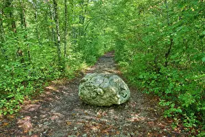 Slovenia: Forest trail, Rock, Summer, Rakov Skocjan valley