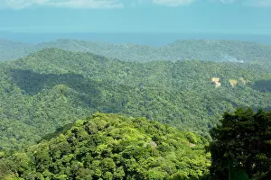 Trinidad: The forested protected Northern Range Mountains