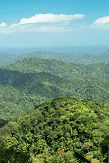 Trinidad: The forested protected Northern Range Mountains