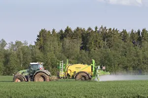 Economy: Forester spraying herbicides - spring - Germany