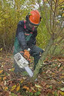 Forester: Forester / Tree Surgeon