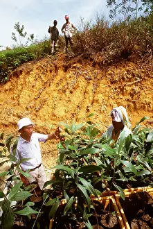 Operation: FORESTRY - Kinarut Japan Int'l Co-operation Agency
