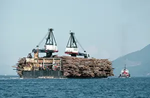 Barges: FORESTRY - Logs on barge
