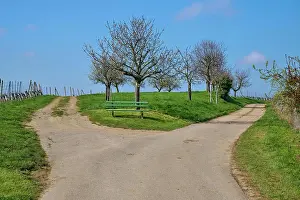 Bench: Fork, bench, tree, spring, Feldberg, Obereggenen