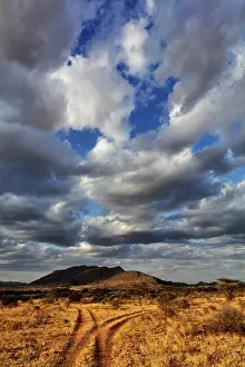 Fork: Fork in the road at sunset, Samburu Game
