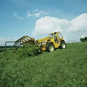 Truck: Forklift compacting silage