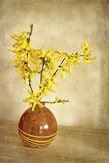 Ceramic: Forsythia Flowers - Textured Image