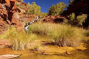 Permanent: Fortescue Falls - water of a river tumbles down
