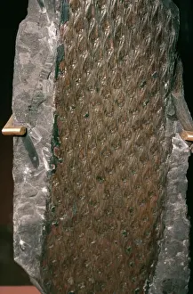 Bark: FOSSIL - Lepidodendron Tree trunk