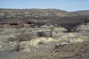 Miocene: Fossil Site in Kenya