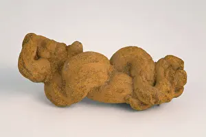 Poop: Fossilized Coprolite