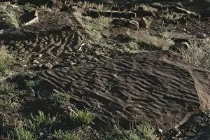 Ridges: Fossilized Ripple Marks