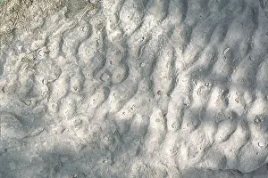 Ridges: Fossilized Ripples