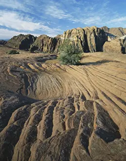 Marks: Fossilized Ripples in Snow Canyon