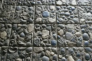 Seashell: Fossils Used in Paving