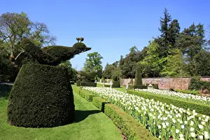 Topiary: The Fountain of Love at Cliveden Buckinghamshire England on