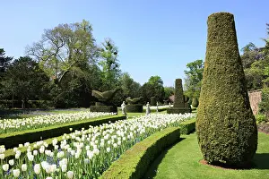 Topiary: The Fountain of Love at Cliveden Buckinghamshire England on