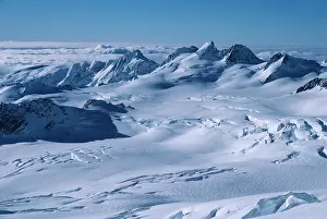 Westland: Fox Glacier, Westland National Park, Southern