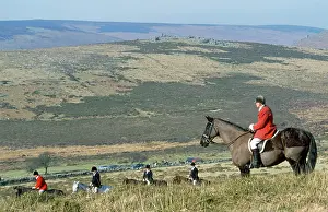 Riding: FOX HUNTING