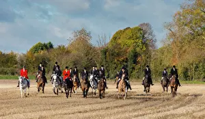 Hunted: Fox hunting in autumn - GB
