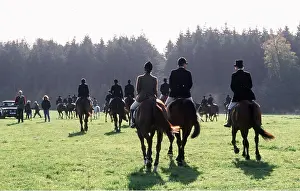 Rider: FOX HUNTING - Duke of Beaufort's Hunt