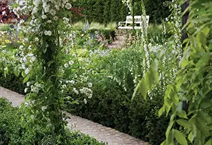 Direction: Foxglove