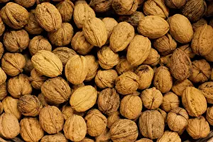 Nuts: France, Aquitaine Region, Gironde Department