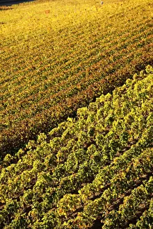 Bordeaux: France, Aquitaine Region, Gironde Department
