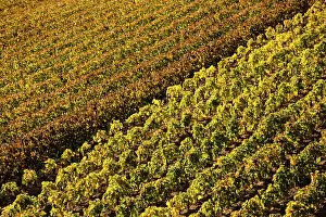 Bordeaux: France, Aquitaine Region, Gironde Department