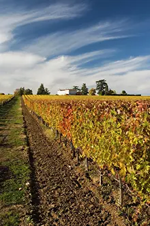Bordeaux: France, Aquitaine Region, Gironde Department