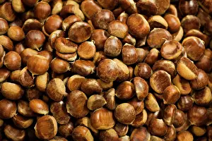 Nuts: France, Aquitaine Region, Gironde Department