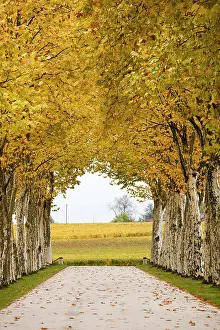 Bordeaux: France, Aquitaine Region, Gironde Department