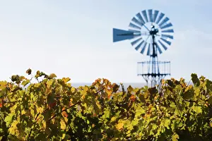 Bordeaux: France, Aquitaine Region, Gironde Department