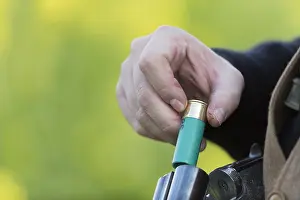 Chasse: France, Bas Rhin (67), chasse au petit gibier, chasseur