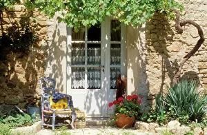 Climbers: FRANCE - Blue chair & vine & net-curtained white door