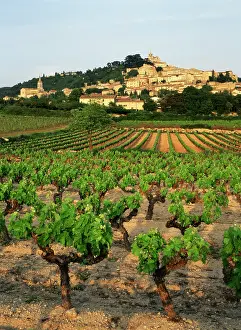 Barnes: France, Bonnieux, Vaucluse, Luberon, View