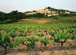 Barnes: France, Bonnieux, Vaucluse, Luberon, View