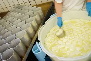 Factory: France, Briouze, Gillot Dairy, production