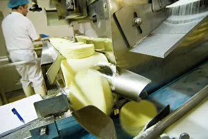 Factory: France, Briouze, Gillot Dairy, production