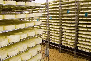 Factory: France, Briouze, Gillot Dairy, production