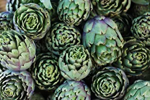 Artichoke: France, Corsica, Ajaccio, Place Marechal