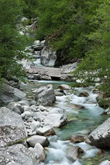 Gorges: France, Corsica, Corte, Gorges de la Restonica