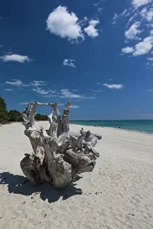 Mermaid: France, Corsica, Costa Serena, Ghisonaccia