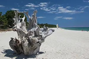 Mermaid: France, Corsica, Costa Serena, Ghisonaccia