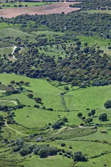 Corse: France, Corsica, La Balagne, Cold de Salvi